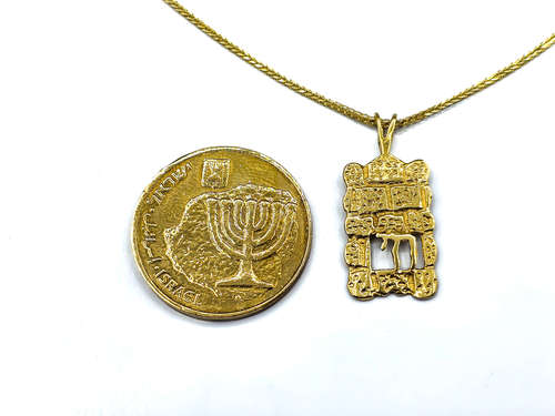 שרשרת חי כותל