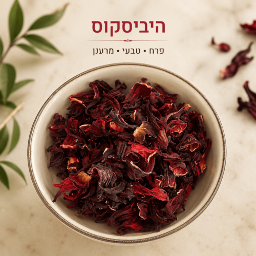 היביביסקוס
