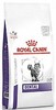 רויאל קנין דנטל מזון רפואי לחתולים 3 ק"ג Royal Canin Dental