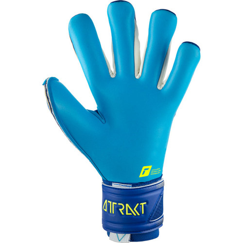 כפפות שוער מקצועיות Reusch Attrakt Aqua