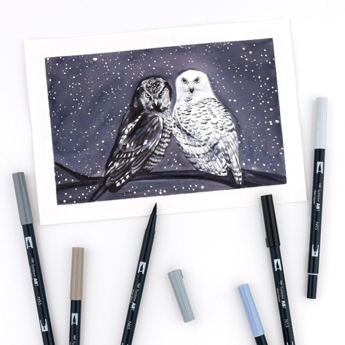 סט 10 טושי מכחול DUAL BRUSH PENS ( grayscale)