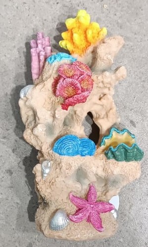 דקורצית סלע עם אלמוגים