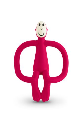 נשכן קופיף-אדום Matchstick Monkey