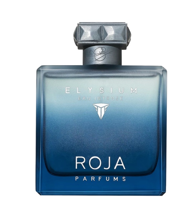 בושם לגבר Roja Elysium Eau Intense EDP 100 ml