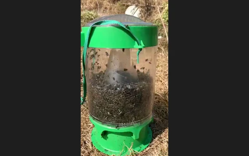 מלכודת זבובים מקצועית עם 2 שקיות פתיון