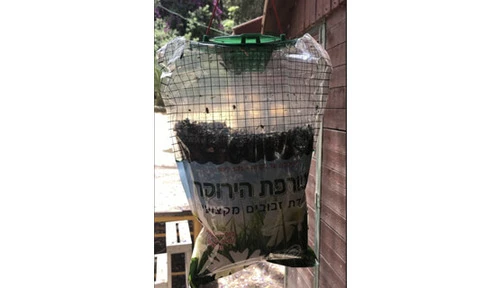 מלכודת זבובים אקולוגית ללא רעלים חזקה במיוחד
