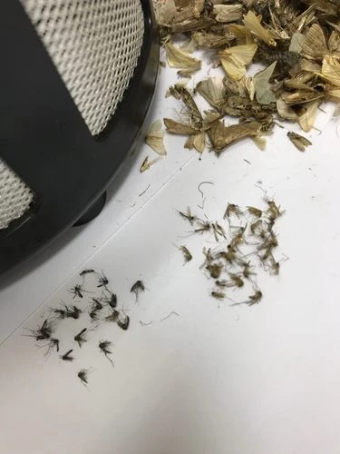 קטלן יתושים חשמלי מקצועי חזק במיוחד לבית ולמשרד
