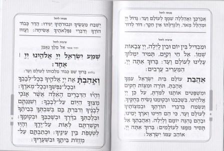 מנחה וערבית זעיר מעוינים