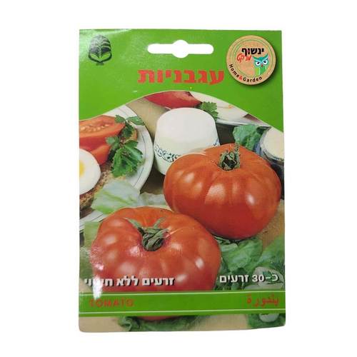 זרעי עגבנייה רגילה