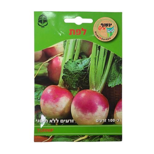 זרעי לפת