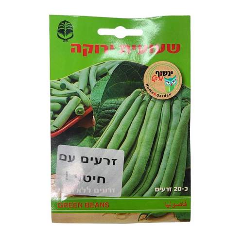 זרעי שעועית ירוקה