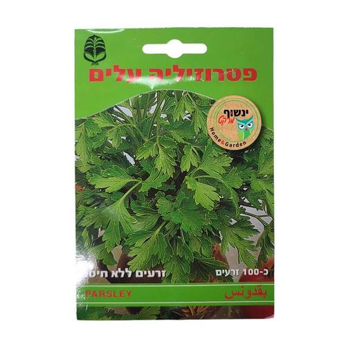 זרעי פטרוזיליה אורגניים