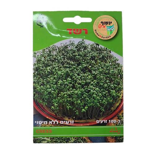 זרעי רשד