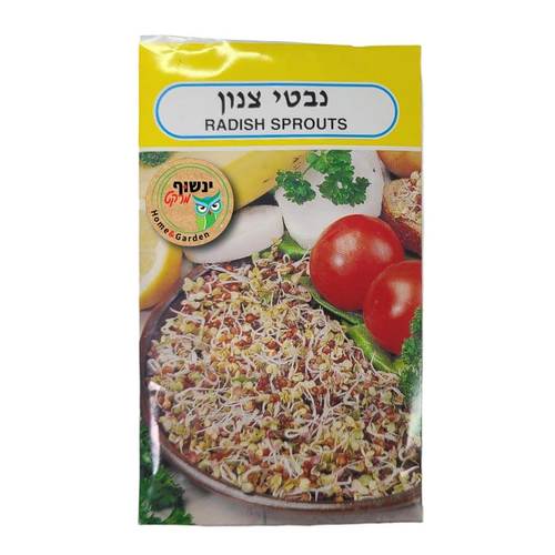 זרעי נבטי צנונית