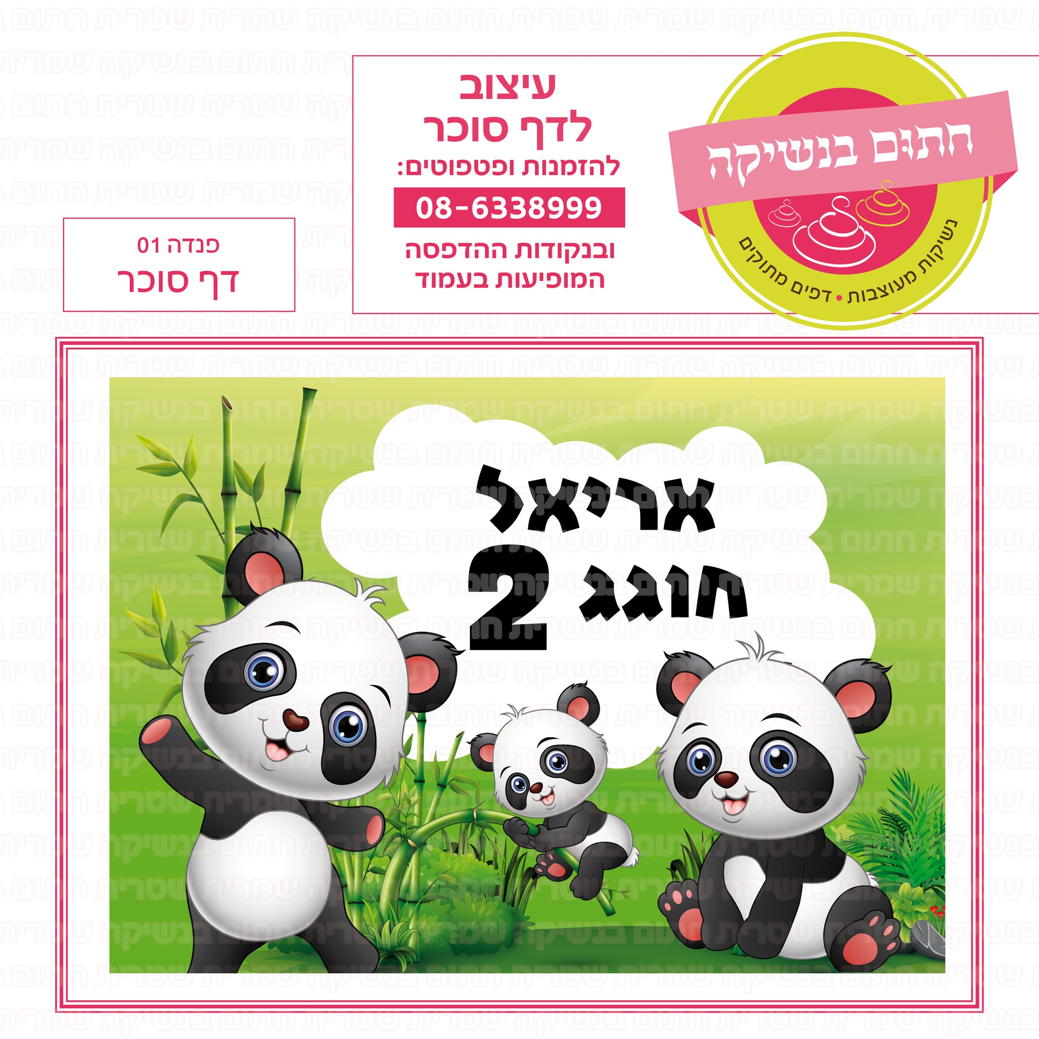 פנדה 01