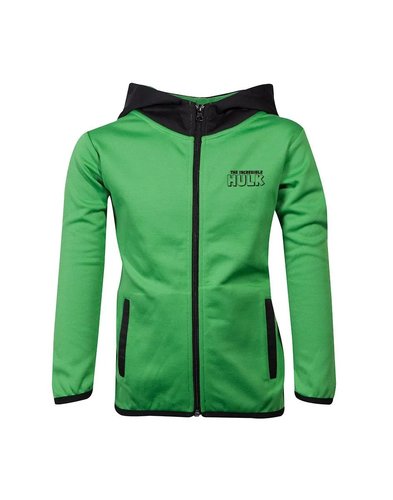 Marvel Hulk Kids Teq Hoodie Difuzed חולצות