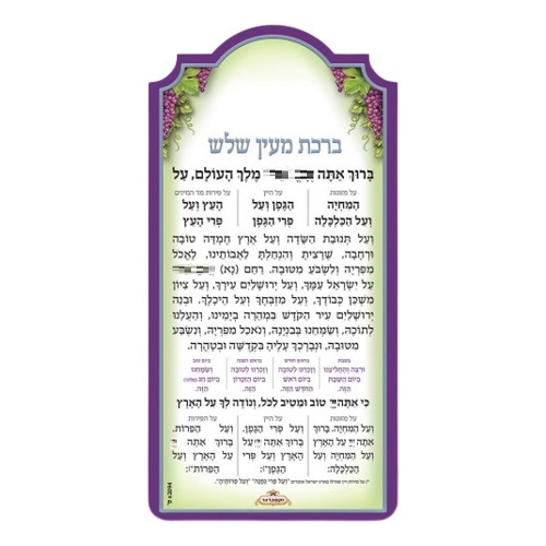 מעין שלוש מגנט ענבים
