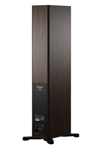 Dynaudio Focus 30 walnut