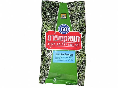 זרעי דשא רייגראס 50 מ