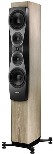 Dynaudio Confidence 60 blonde