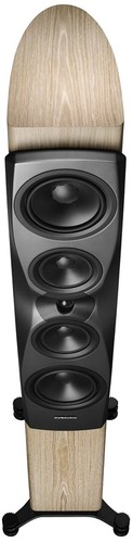 Dynaudio Confidence 50 blonde