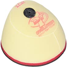 פ.א.הונדה CRF250 מ-10, CRF450