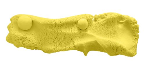 בצק קינטי: מארז 80 ג' של הבצק החכם בעולם בקופסת מתכת רב פעמית - צהוב