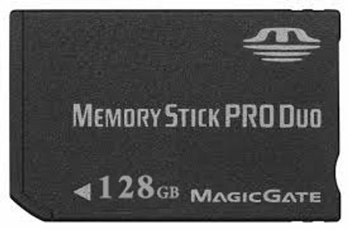 כרטיס זיכרון Memory Stick PRO Duo 256GB