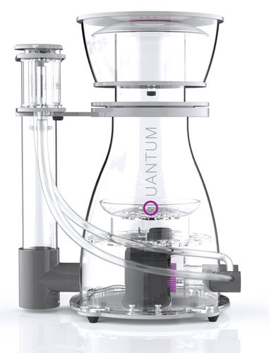ניוס פורק חלבונים קוואנטום Nyos QUANTUM® 300