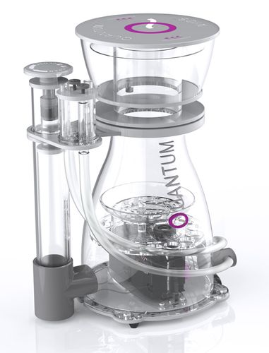 ניוס פורק חלבונים קוואנטום Nyos QUANTUM® 300