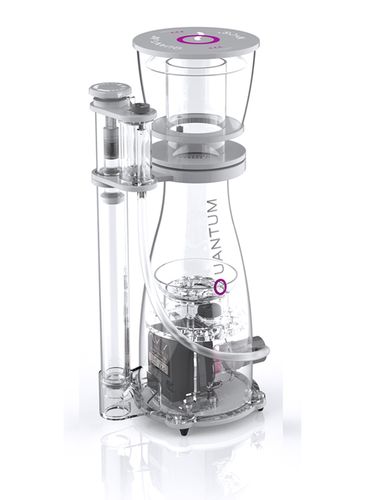 ניוס פורק חלבונים קוואנטום Nyos QUANTUM® 160