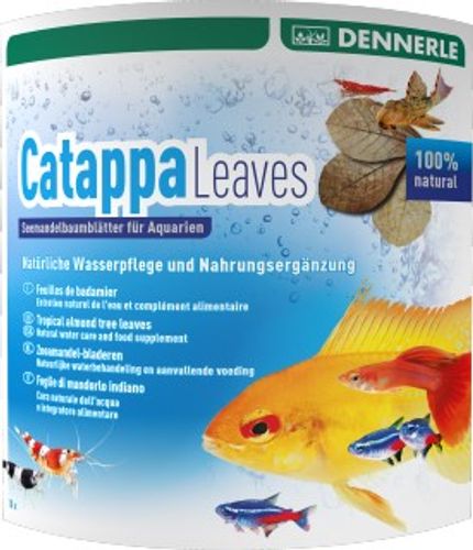 דנרלי עלי קאטפא Dennerle Catappa Leaves Large