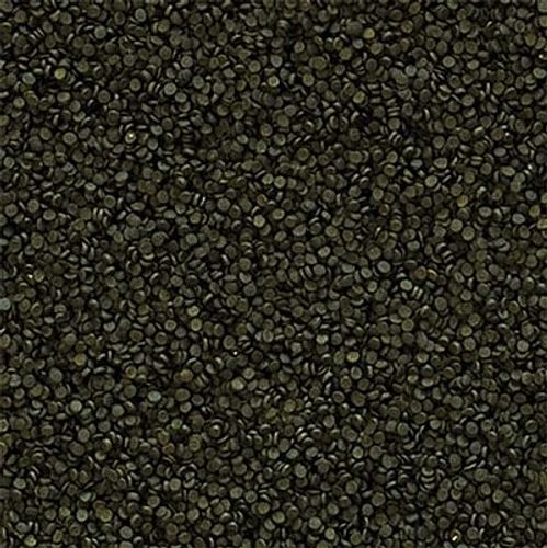 טרופיקל מזון גרגירים שוקע ספירולינה Tropical Spirulina Super Forte Granulat 250ml