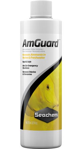 סיכם אמגארד Seachem AmGuard 250ml