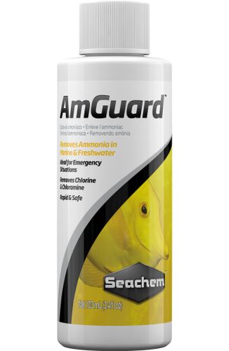 סיכם אמגארד Seachem AmGuard 100ml