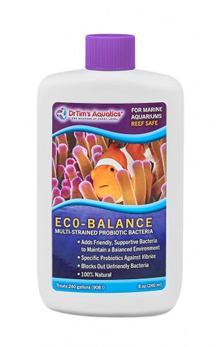 דוקטור טים Dr. Tims Eco Balance Probiotic Bacteria 240ml
