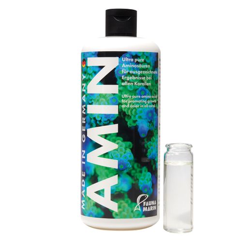 פאונה מארין אמין Fauna Marin Amin