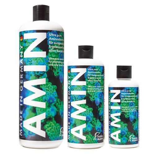 פאונה מארין אמין Fauna Marin Amin