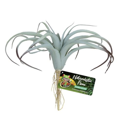 זו מד צמח אוויר טילנדסיה Zoo Med Tillandsia