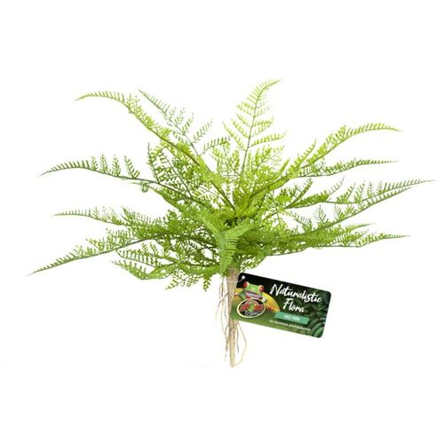 זו מד שרך תחרה Zoo Med Lace Fern