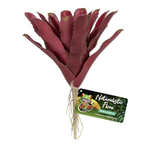 זו מד ברומליית כדור אש Zoo Med Fireball Bromeliad