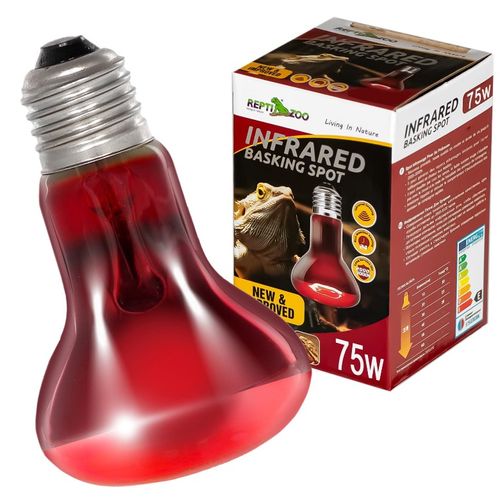 רפטי זו נורת חימום אינפרא אדום פטריה 75W