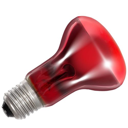 רפטי זו נורת חימום אינפרא אדום פטריה 50W