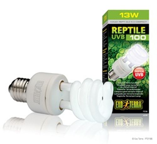 אקזוטרה נורת יו וי Reptile UVB100 13W