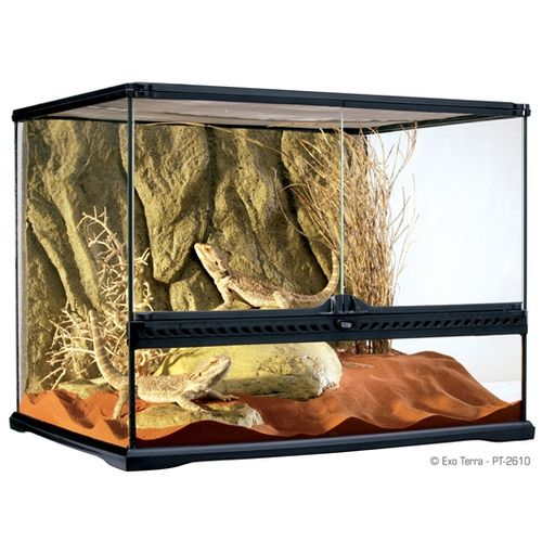 אקזוטרה טרריום PT2610 60X45X45cm