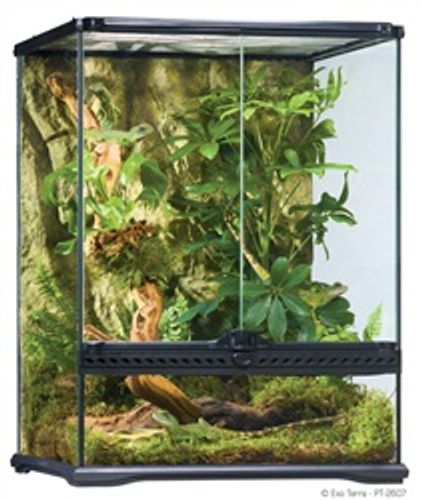 אקזוטרה טרריום PT2607 45X45X60cm