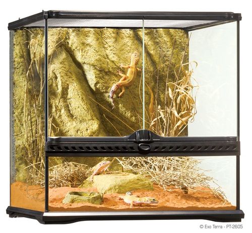 אקזוטרה טרריום PT2605 45X45X45cm