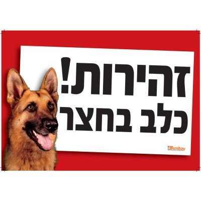 שלט זהירות כלב בחצר