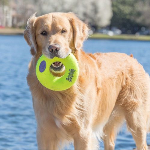 קונג סקוויקר דונאט Kong Airdog Squeaker Donut M