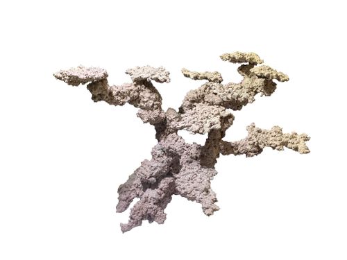 ארט ריף רוק בונזאי ArtReef Rock Bonzai Tree